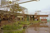 元住吉駅