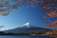 富士吉田市