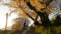 草津市