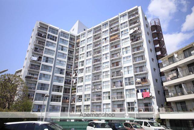 ヴェルドミール聖蹟桜ヶ丘(3LDK/11階)