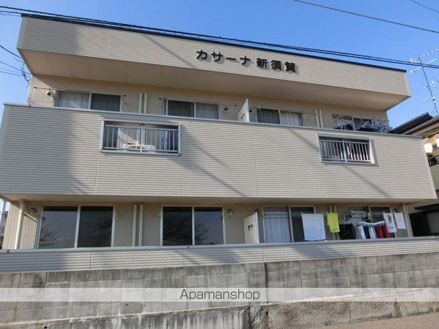 カサーナ新須賀(1LDK/1階)