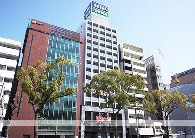 セイワパレス丸の内駅前プレミア(1K/8階)