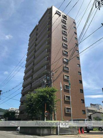 ライオンズマンション花園町(2LDK/10階)