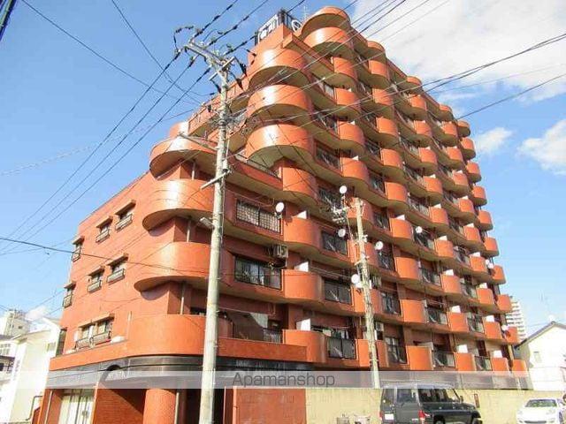 パークハイツ肴町(1LDK/10階)