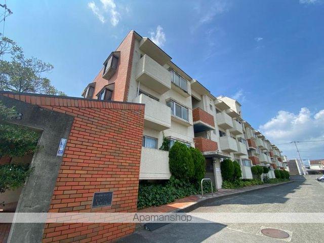 ピュアハイツ(2LDK/1階)