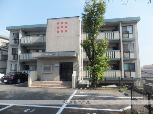 キャッスルマンション豊岡(1LDK/3階)
