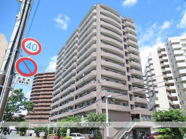 ライオンズマンション開運橋(1DK/8階)