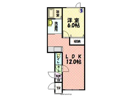 ユーハイツ動物園通(1LDK/1階)の間取り写真