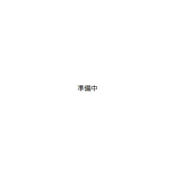 セレスティア中央 II(2LDK/2階)