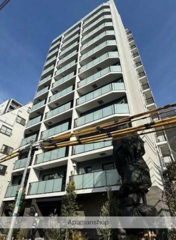ACP RESIDENCE錦糸町(2LDK/9階)