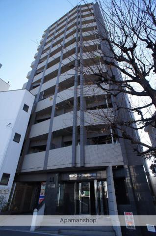 スカイコート新宿壱番館(1K/11階)