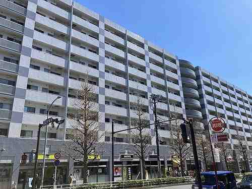 ニューシティ東戸塚パークハウス南の街(3LDK/3階)