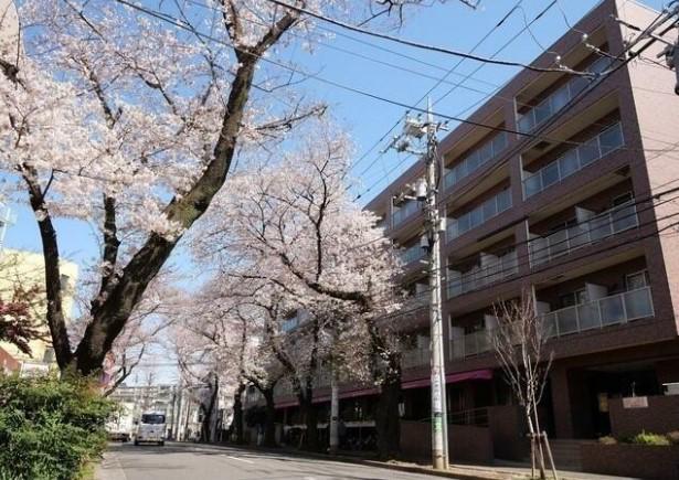 コンフォリアたまプラーザ(ワンルーム/1階)