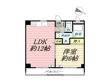 アミティ中町(1LDK/1階)の間取り写真