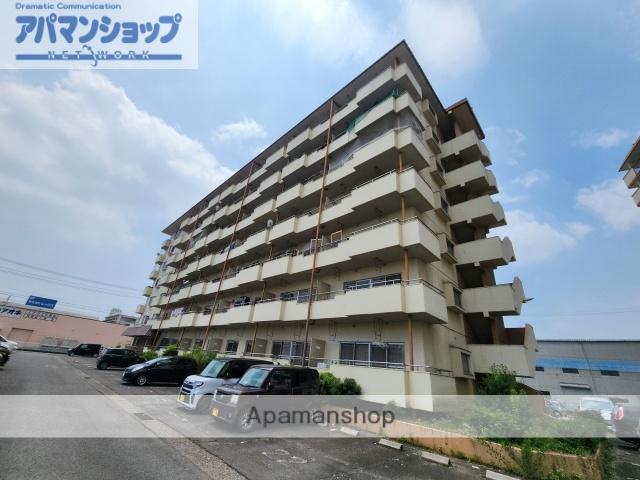 ハイタウンみずほⅡ(3LDK/1階)