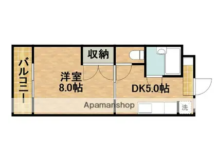 サンパレス金子2(1DK/1階)の間取り写真