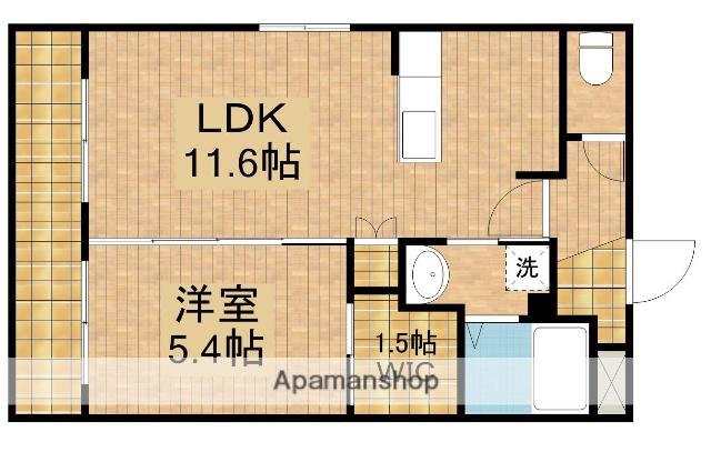 SEISHELLⅡ(1LDK/1階)の間取り写真