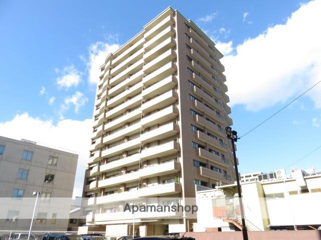 東海道本線 浜松駅 徒歩5分 築21年(3LDK/9階)
