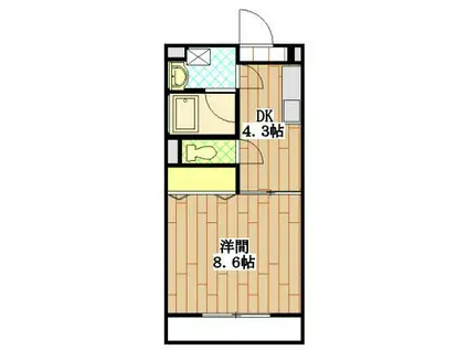 BRANCHE泉(1K/3階)の間取り写真