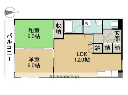 シャトーイサム(2LDK/1階)の間取り写真
