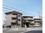 グリーンハイツ正宗