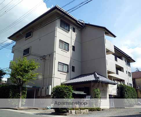 ルミナス桂川(2LDK/4階)
