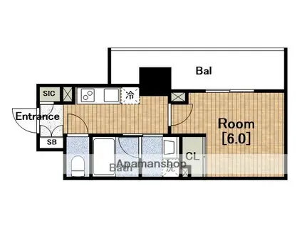 セルン新町(1K/11階)の間取り写真