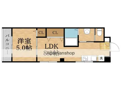 ロイヤルハイム八芳園(1LDK/3階)の間取り写真