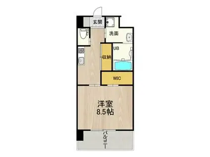 PHOENIX CLOVE TOMOI(1K/4階)の間取り写真