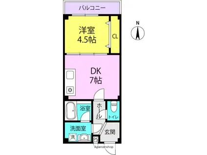 ネクステージ七松町(1DK/3階)の間取り写真