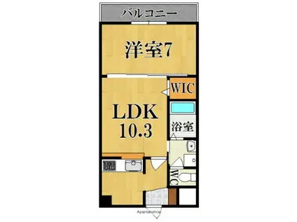 グランディス朱雀(1LDK/6階)の間取り写真