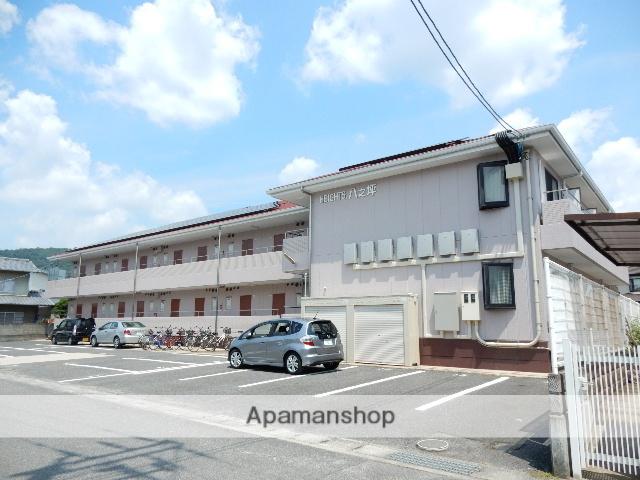 ハイツ八之坪(1K/1階)