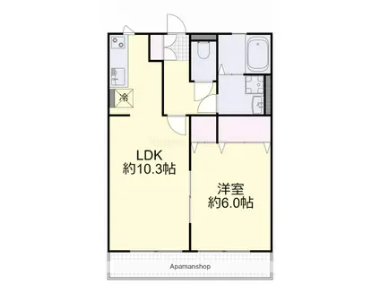メゾン辰巳(1LDK/1階)の間取り写真