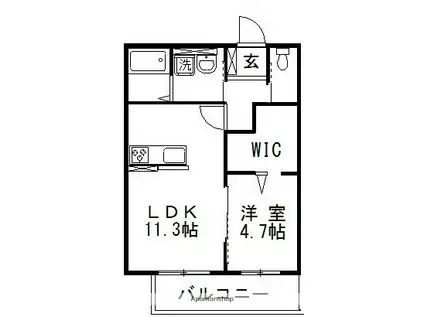 コンフォール(1LDK/1階)の間取り写真
