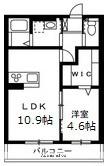 プランドールⅡ(1LDK/1階)の間取り写真