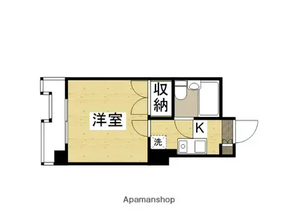 メゾンダイアナイン皆実(1K/5階)の間取り写真