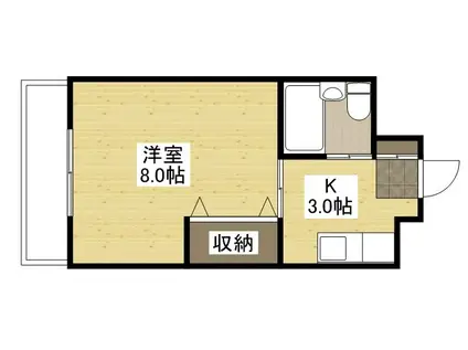 ソフィアコートリバーサイド天満ANNEX(1K/3階)の間取り写真