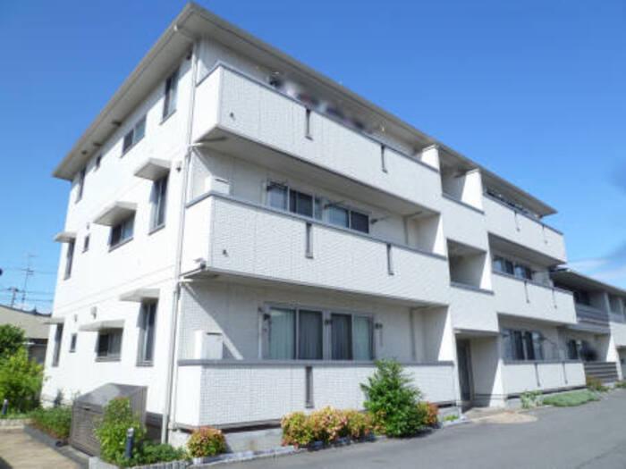 ラグジュアリ新涯A(2LDK/2階)