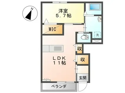 キャトルセゾン(1LDK/1階)の間取り写真
