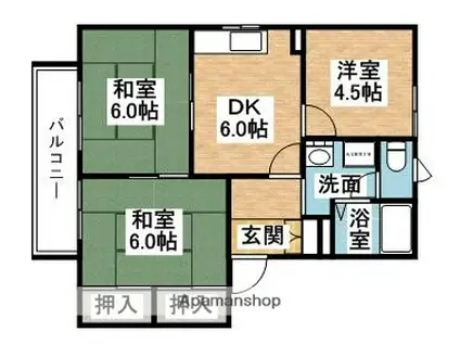 フレグランス(3DK/2階)の間取り写真