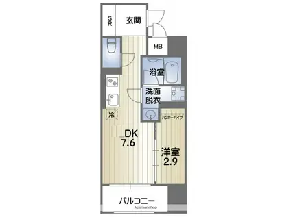 RISE KUMAMOTO EXE(1DK/4階)の間取り写真