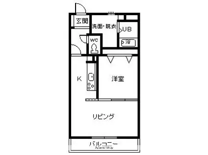サンパティーク(1LDK/2階)の間取り写真