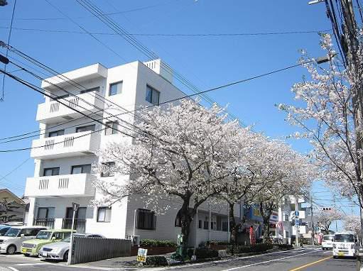 紫桜ハイツ(3DK/3階)