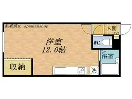 ハイツ東雲II(ワンルーム/1階)の間取り写真