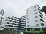 小田急小田原線 厚木駅 徒歩10分 8階建 築38年