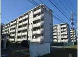 小田急小田原線 海老名駅 徒歩80分 5階建 築54年