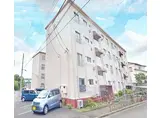 小田急小田原線 海老名駅 徒歩75分 4階建 築55年