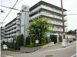 阪神本線 香櫨園駅 徒歩3分 6階建 築28年