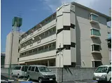 阪神本線 今津駅(阪神) 徒歩4分 4階建 築47年