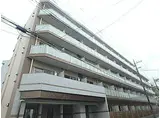 JR京浜東北・根岸線 川口駅 徒歩11分 5階建 築7年